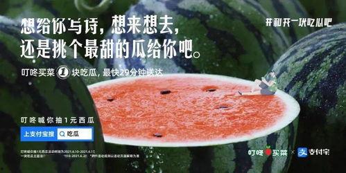 吃瓜号文案,吃瓜号背后的真相与笑料