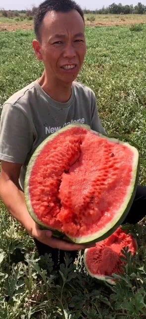 看我的眼色吃瓜,揭秘看眼色吃瓜的奥秘