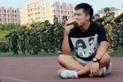 王晓雨吃瓜群众,吃瓜群众的视角解读娱乐圈风云