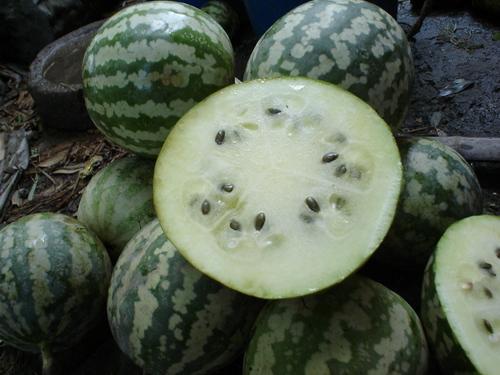 胡篓瓜怎么吃,解锁美味新体验