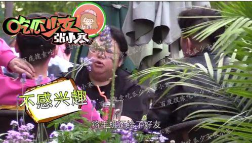 吃瓜77小节,揭秘娱乐圈背后的秘密与真相