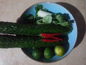 吃瓜吃完酸,揭秘吃瓜吃完酸的秘密之旅