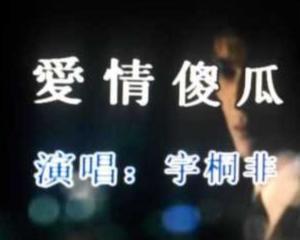 吃瓜的爱情傻瓜,吃瓜群众的爱情傻瓜奇遇记