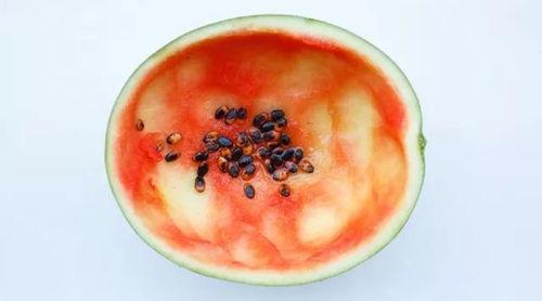 吃瓜勺子视频大全,趣味横生的美食娱乐盛宴