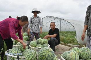 绵阳清晨吃瓜视频,市民共享悠闲时光