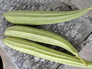 复瓜怎么吃,解锁夏日美味新体验