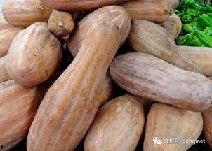 方瓜怎么吃,探索方瓜的多样美味