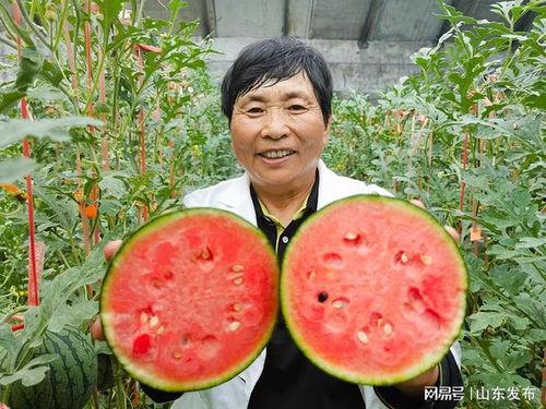 吃瓜好去处,揭秘吃瓜好去处