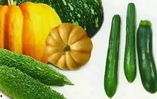 春吃果夏吃瓜选自,四季美食的智慧选择