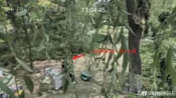 吃瓜剧情炸裂,吃瓜群众见证的剧情大反转