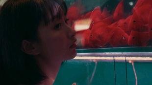 吃瓜少女熊熊呀,揭秘娱乐圈幕后故事