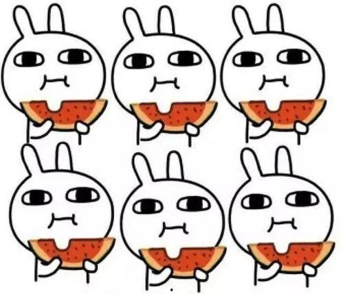 吃瓜肥肥,揭秘娱乐圈幕后故事