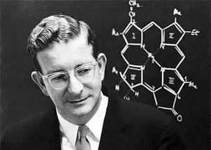 吃瓜罗伯特黄皓月,罗伯特黄皓月背后的故事