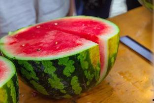 南宁传媒学院吃瓜,校园吃瓜风云录