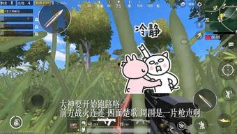 呆瓜打吃鸡,一场爆笑吃鸡之旅