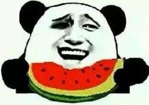 打你吃瓜,揭秘网络热词背后的趣味与争议