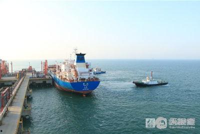 东营港吃瓜,瓜果飘香，休闲胜地一游