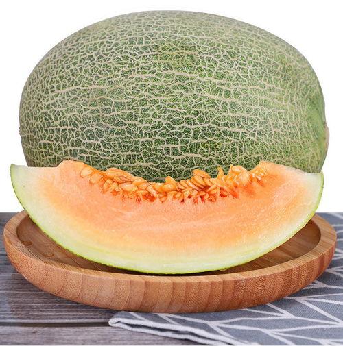 小蜜瓜什么季节吃,尽享小蜜瓜清凉美味