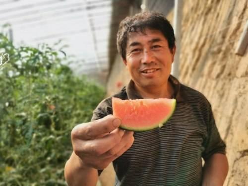 商河吃瓜群众事件,网络围观下的社会现象解析