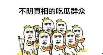 吃瓜群众之小小,吃瓜群众视角下的娱乐圈风云录