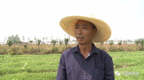 沭阳外卖吃瓜,吃瓜群众揭秘美食江湖