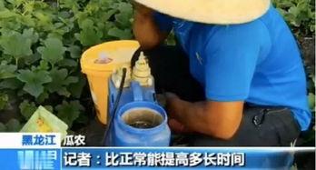 镇平疫情吃瓜视频曝光,揭秘病毒传播背后的真相