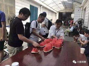 天津吃瓜群众图片,趣味横生的市井百态