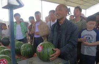 柳州bbr吃瓜群众,吃瓜群众视角下的热议焦点