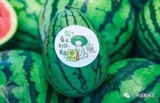 吃货瓜的微,吃货瓜的微生活分享