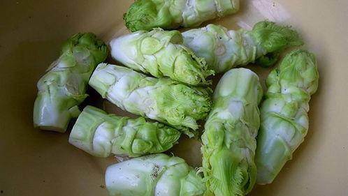 孕早期吃瓜儿菜,营养丰富的孕期美食推荐