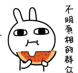 女主吃瓜搞笑段子,一场爆笑的娱乐圈风云录