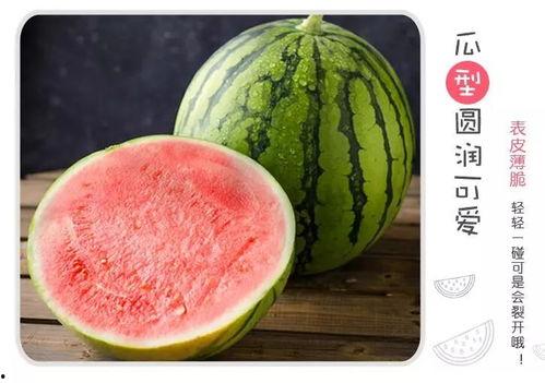 诡界吃瓜,揭秘吃瓜群众的神秘世界