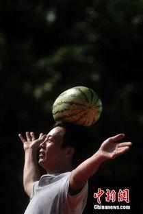 重庆中介吃瓜群众,吃瓜群众的视角揭秘房产江湖