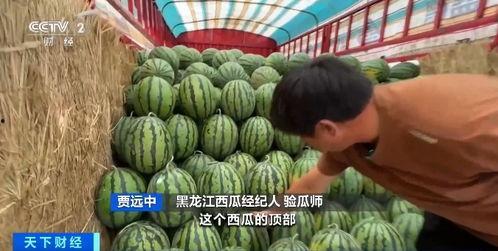 荆州最新吃瓜事件