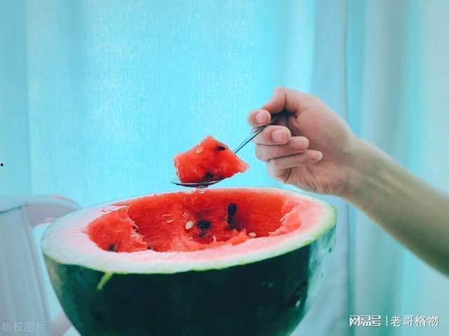 吃瓜最新事件起因,揭秘最新吃瓜事件背后的真相与争议”