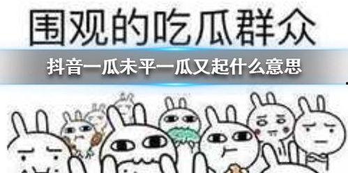 吃大瓜抖音,揭秘网络热点的背后故事