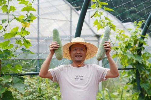 林呱呱吃瓜,揭秘娱乐圈背后的秘密与八卦