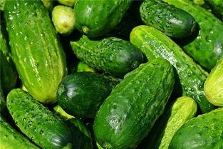 梦见表弟吃瓜,揭秘梦境中的神秘寓意