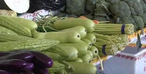 苦茶子吃瓜答辩,一场别开生面的辩论盛宴