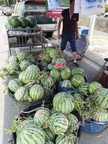 滕州阿豪吃瓜事件,一场网络舆论的风暴与反思