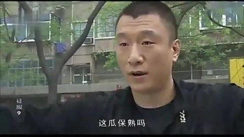 河南逗哥吃瓜事件,网络舆论的狂欢与反思