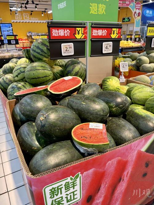 市实验吃瓜,揭秘校园里的那些“瓜”