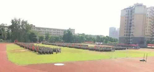 学长学姐吃瓜群众,学长学姐与吃瓜群众的校园风云录