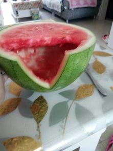 山东曹县瓜哥带你吃瓜,瓜哥曹县带你领略地道美食之旅  第2张