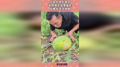 山东曹县瓜哥带你吃瓜,瓜哥曹县带你领略地道美食之旅  第3张