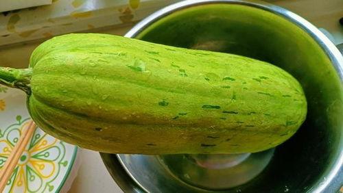 明月吃瓜,一场别开生面的吃瓜之旅