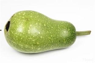 明月吃瓜,一场别开生面的吃瓜之旅 第2张 明月吃瓜,一场别开生面的吃瓜之旅 第2张