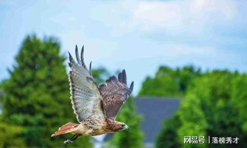 人生本质就是吃瓜,尽在吃瓜之间