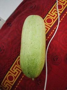 丫y吃瓜,揭秘娱乐圈幕后故事  第2张