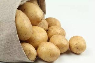 高血压吃白瓜好吗,白瓜的养生益处  第2张